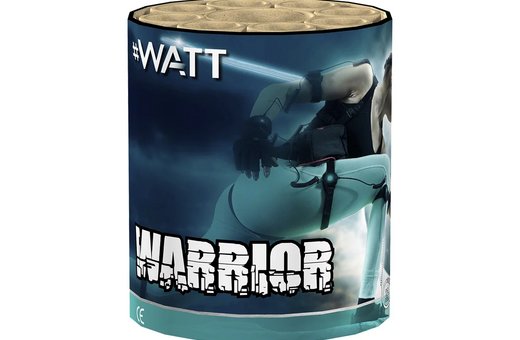 "Warrior" • Möbel Centrale • Schongau | Penzberg