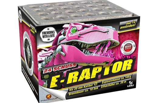 "E-Raptor" • Möbel Centrale • Schongau | Penzberg